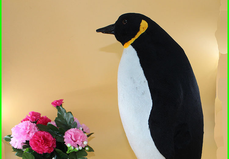 仿真企鹅模型摆件工艺品企鹅摆件企鹅标本