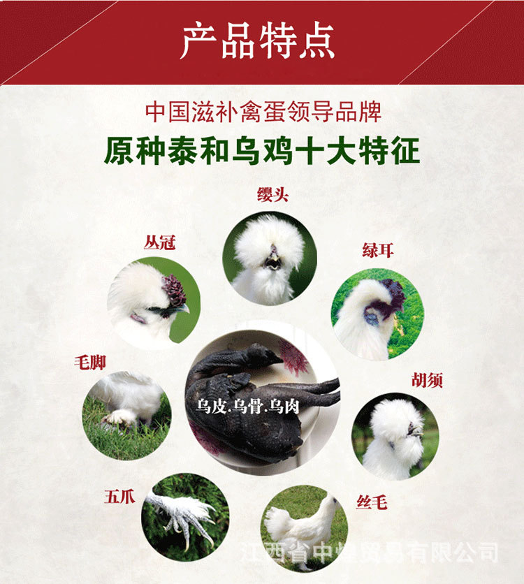 井冈山特产泰和乌鸡阉鸡六年起年白羽鸡原种乌鸡六年起归你洽