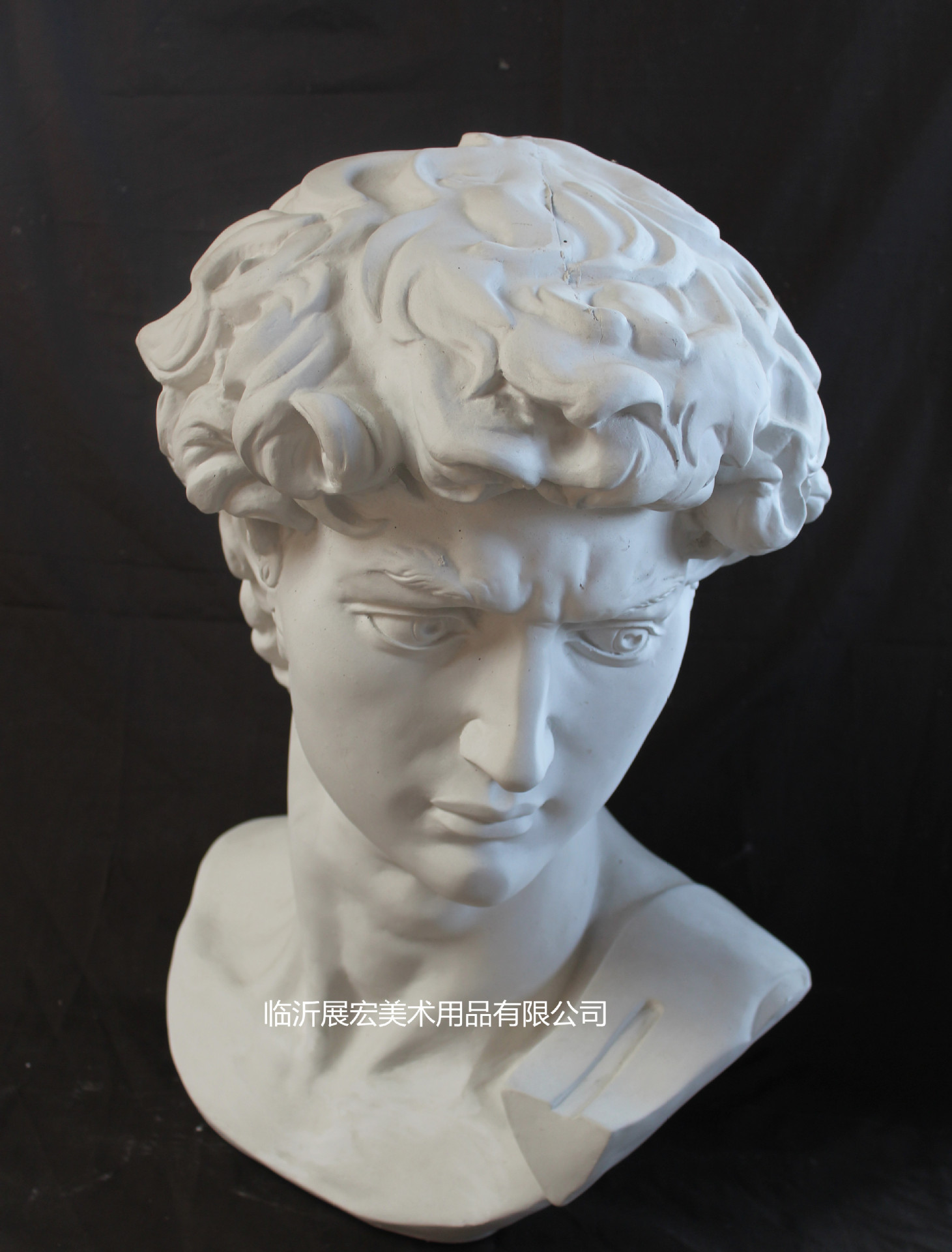大卫石膏头像石膏像写生教具二