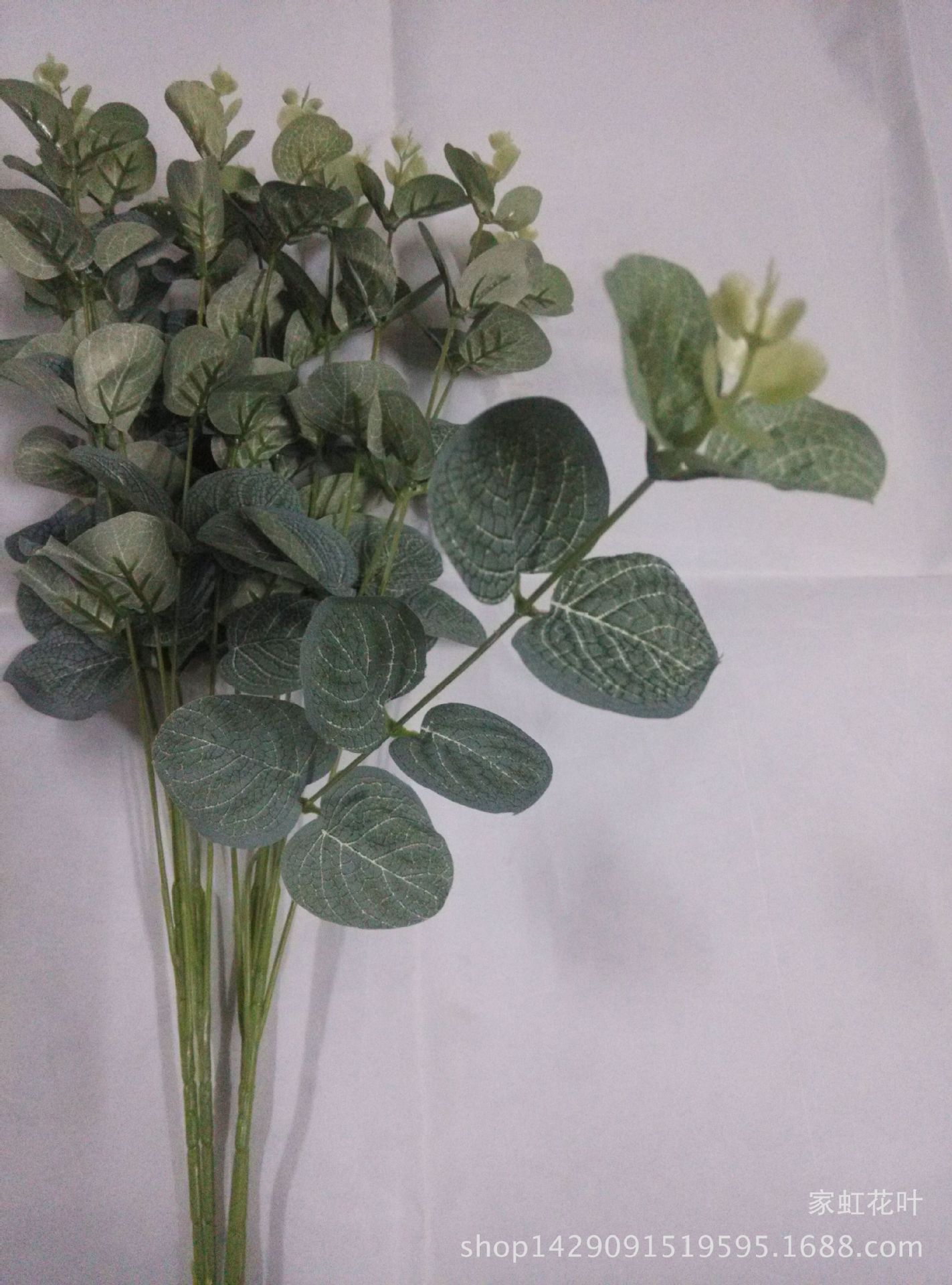 16头丝印金钱叶