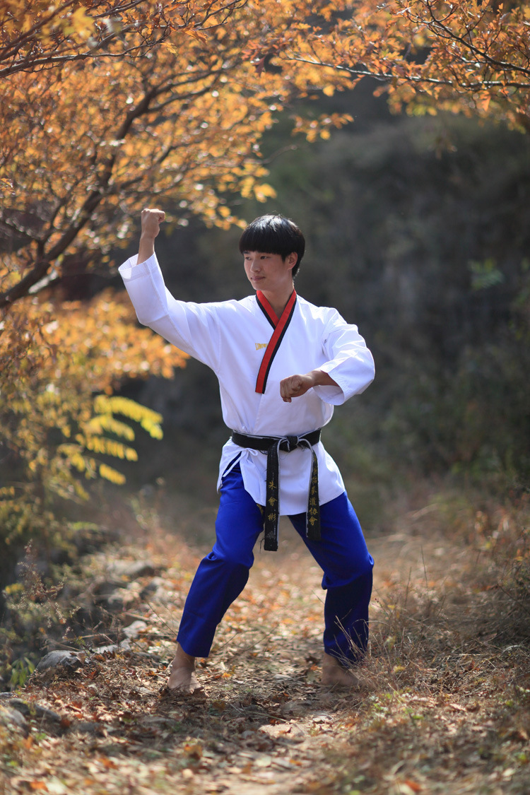 力搏王新款成人儿童跆拳道品势道服