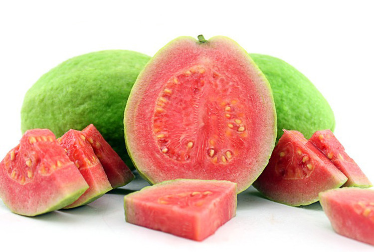 供应新品种【西瓜芭乐苗】红心番石榴,肉清脆可口