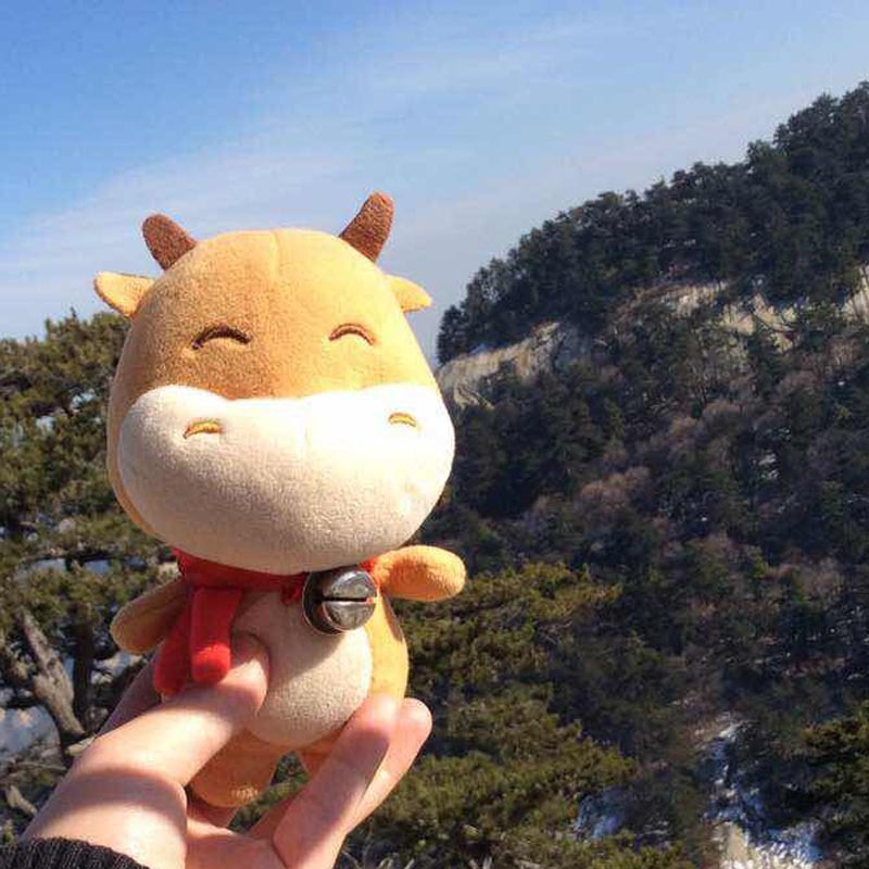 带着千牛游西安