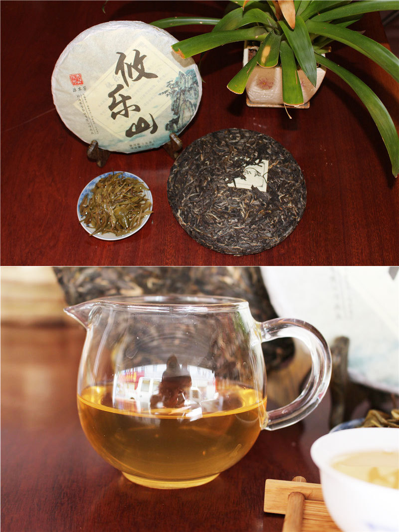 供应信息 黑茶 云南勐海产地货源 基诺山普洱 生茶茶饼357g 七子饼