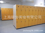 全塑abs更衣柜浴池海水浴场桑拿浴场专用防水储物柜防潮更衣柜
