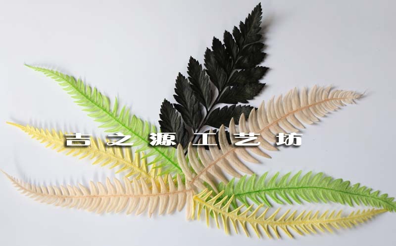 高山羊齿是一种适合用作切叶的蕨类植物,目前大量应用于插花,花语是图片