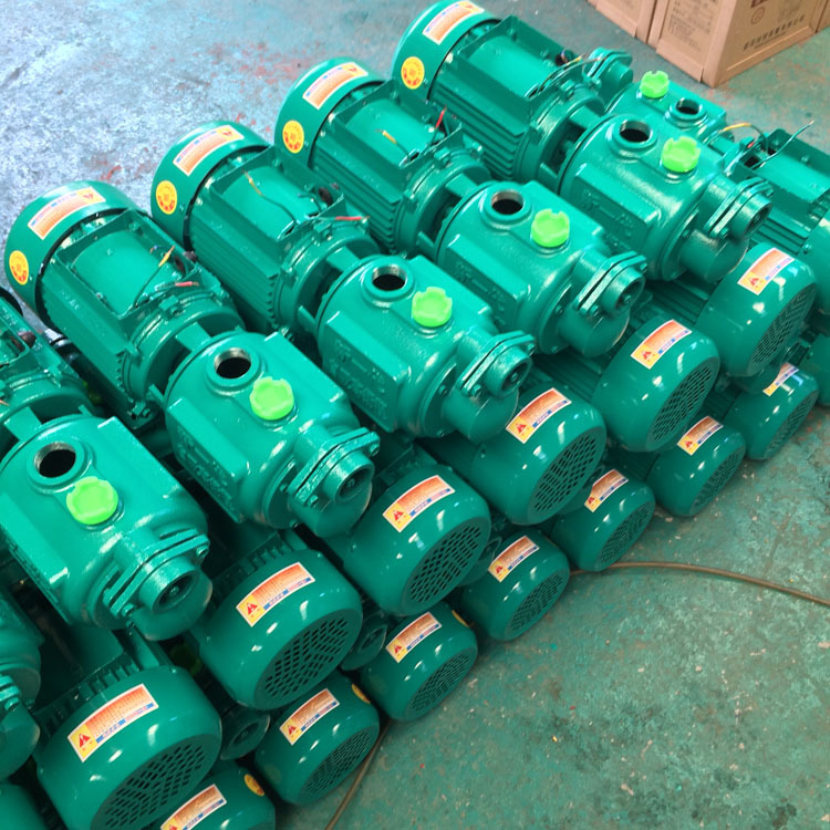 8kw 单相螺杆自吸电泵 清水自吸泵 家用自吸水泵