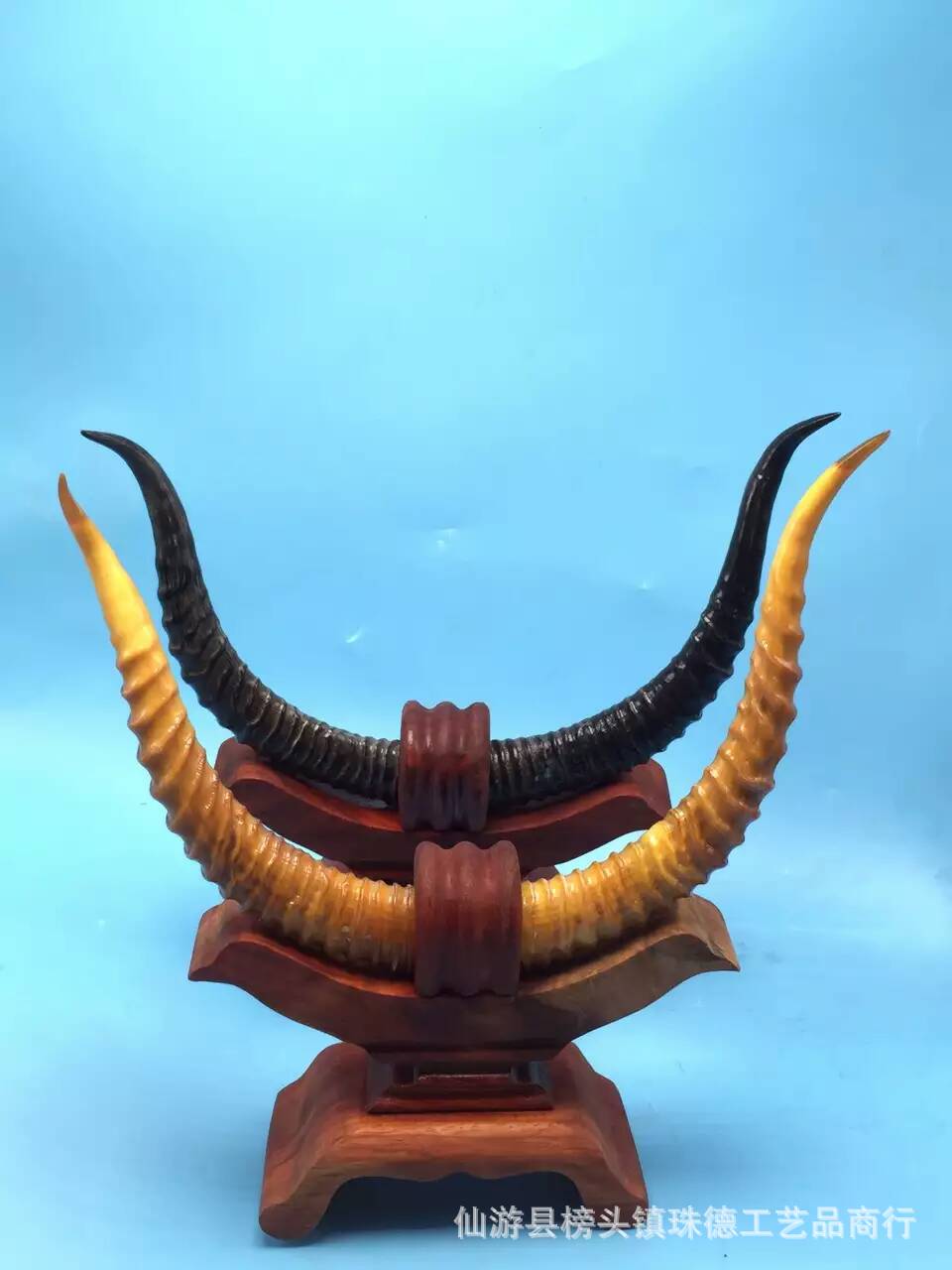 天然 原材料羚羊角对角 配木质底座加包装盒 角类摆设工艺品.