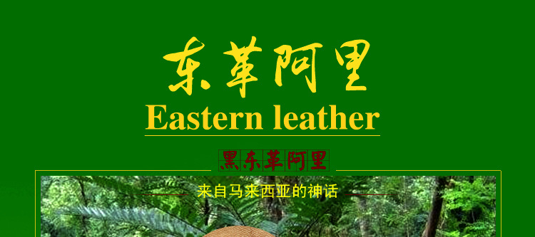 ﰢԭƬ_ﰢԭƬ_ڶﰢԭƬ