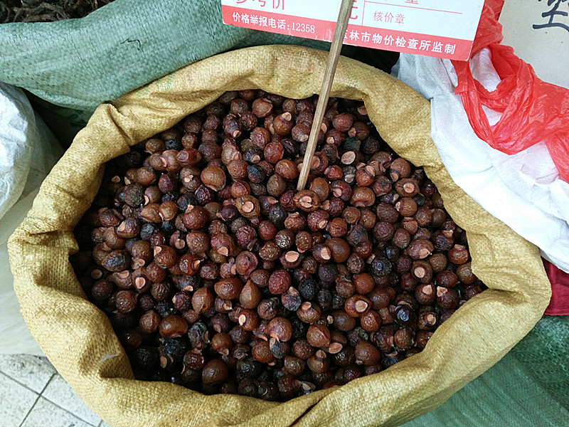 供应新货无患子 圆皂角 洗手果 菩提子 天然洗涤用品