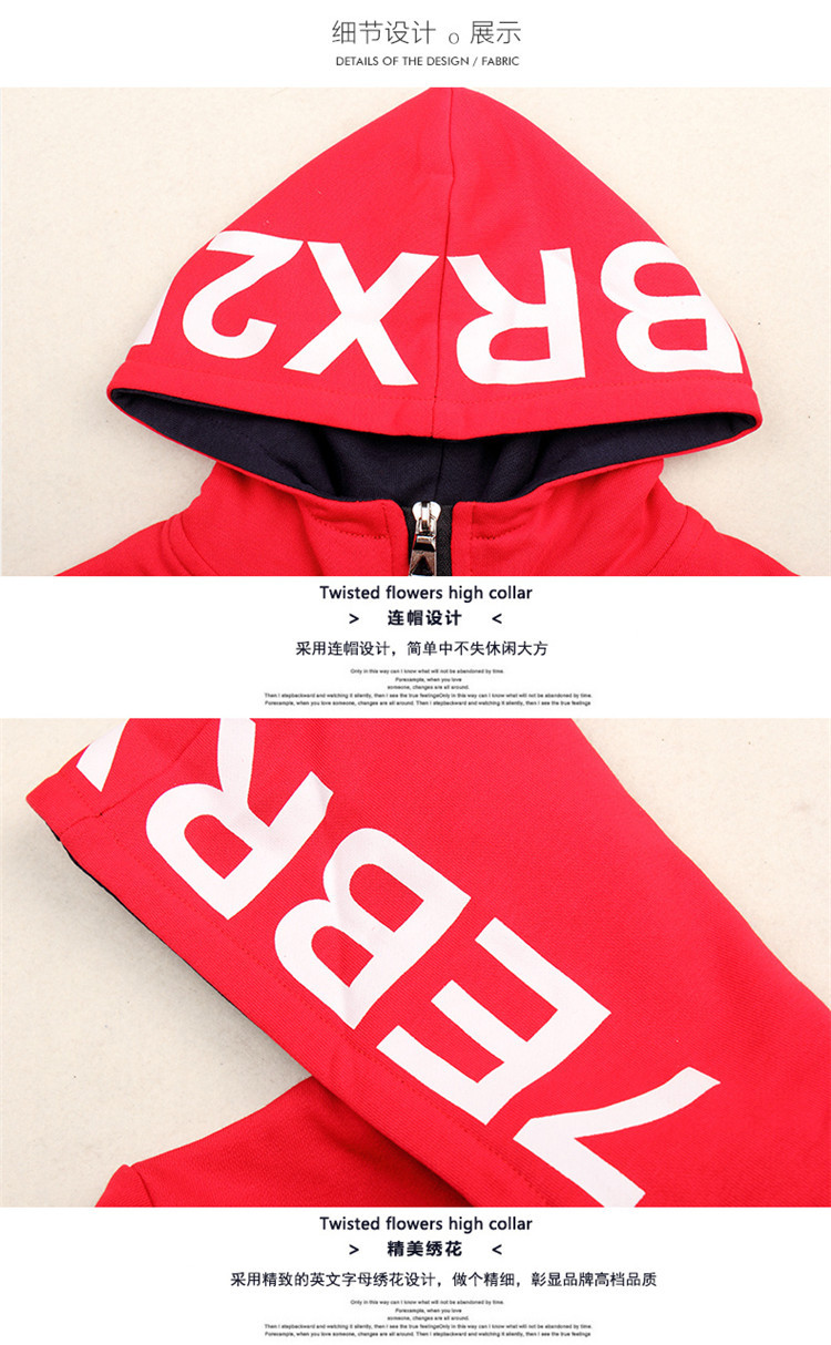 收入证明_指导手收入