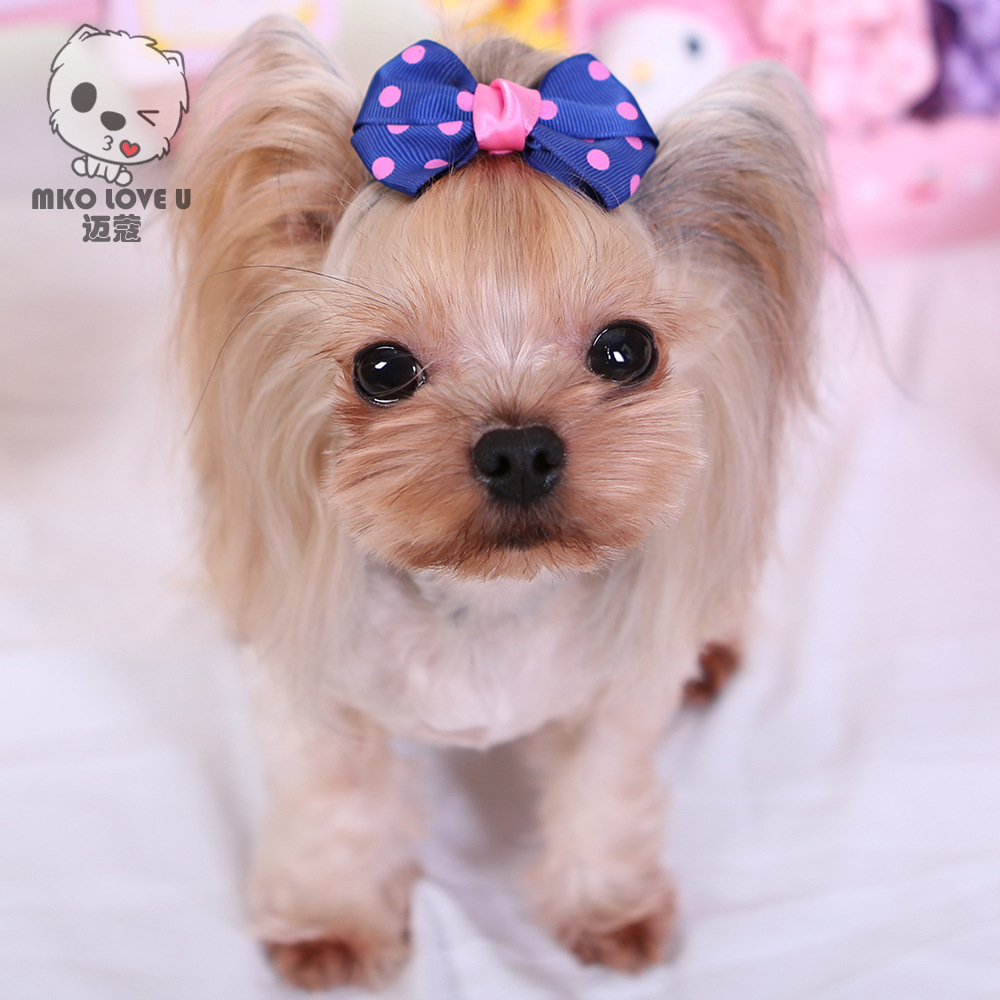 【mko 迈蔻】泰迪约克夏宠物狗狗波点双层蝴蝶结发夹饰品头饰单个