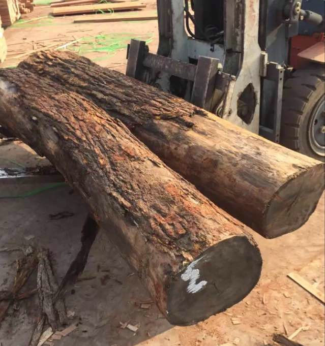 经销批发非洲原木小叶红檀 非洲高档红檀木料 家具用材小叶红檀