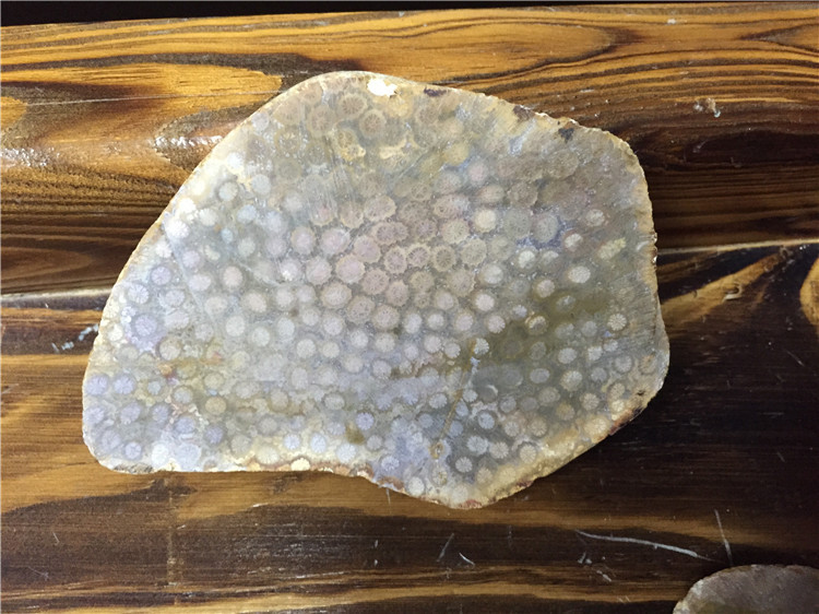 海南潭门 珊瑚玉化石菊花石 鱼缸摆件原石原料批发 按