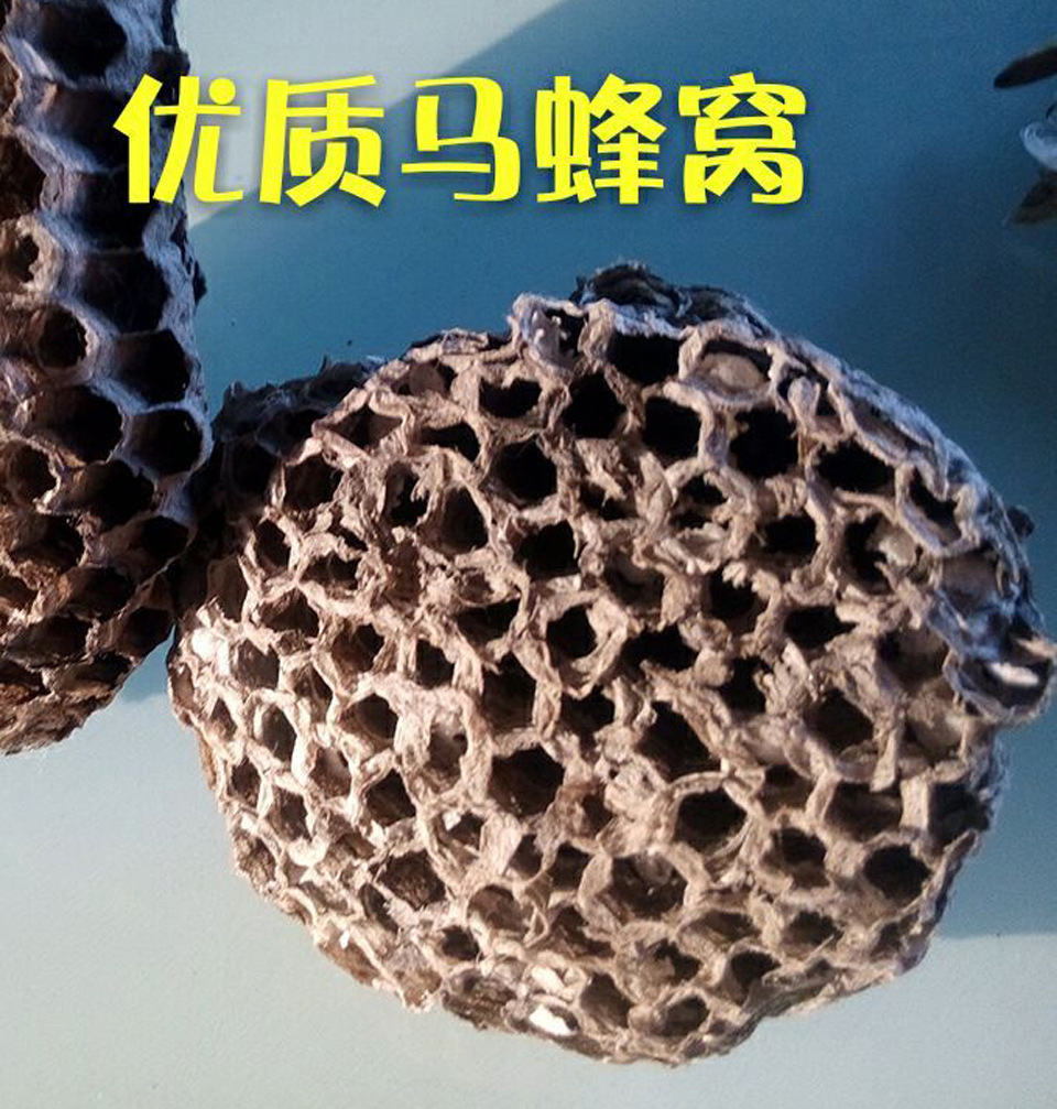 马蜂窝的作用_香港马油的功效与作用_蜂窝护膝作用