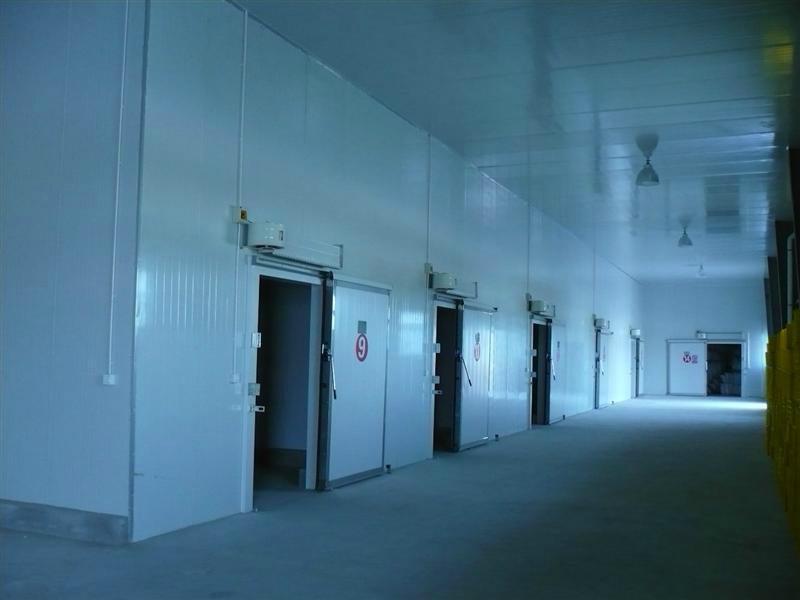 速冻冷库,水果保鲜库,鲜肉冷藏库,鱼肉丸冷冻库10年创新技术