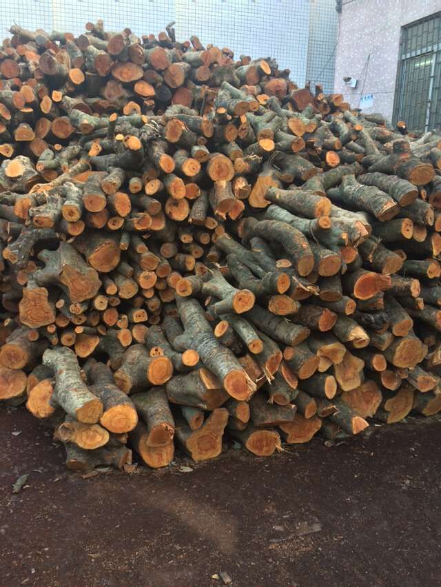 深圳荔枝柴火 无水分荔枝柴火 雕刻艺术品 可按要求加工荔枝木柴