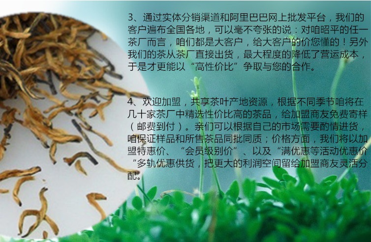 详情背景2_副本