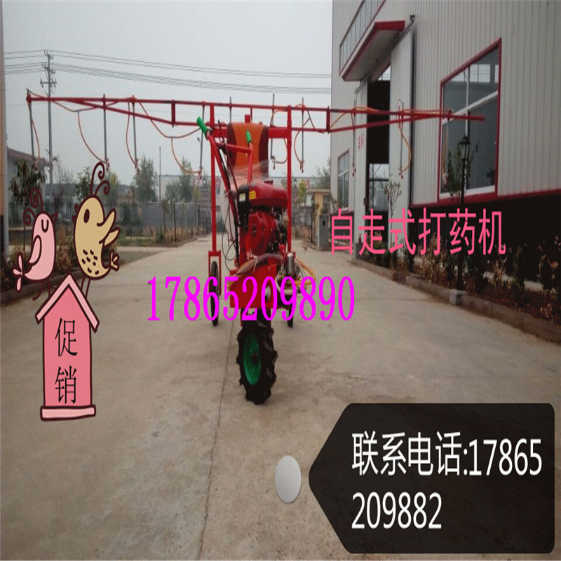ori_2362043429