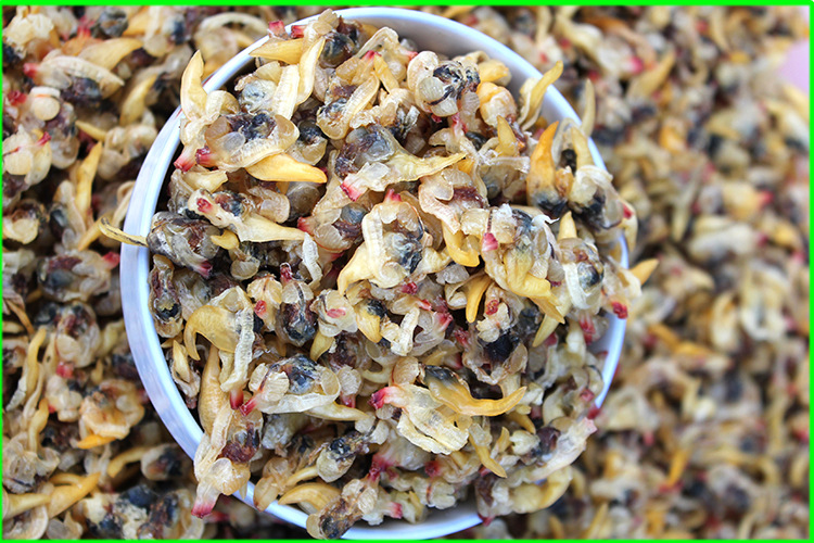 干蛤蜊肉厂家批发水产品蛏干荣成海鲜海产品干货