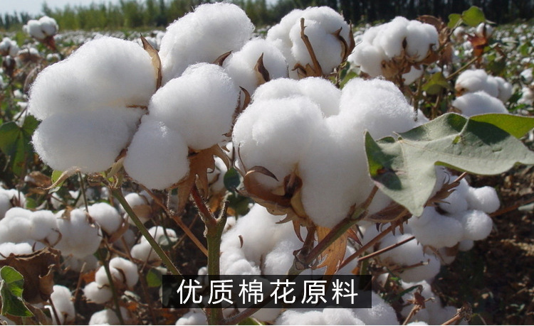 2027190599_227201474