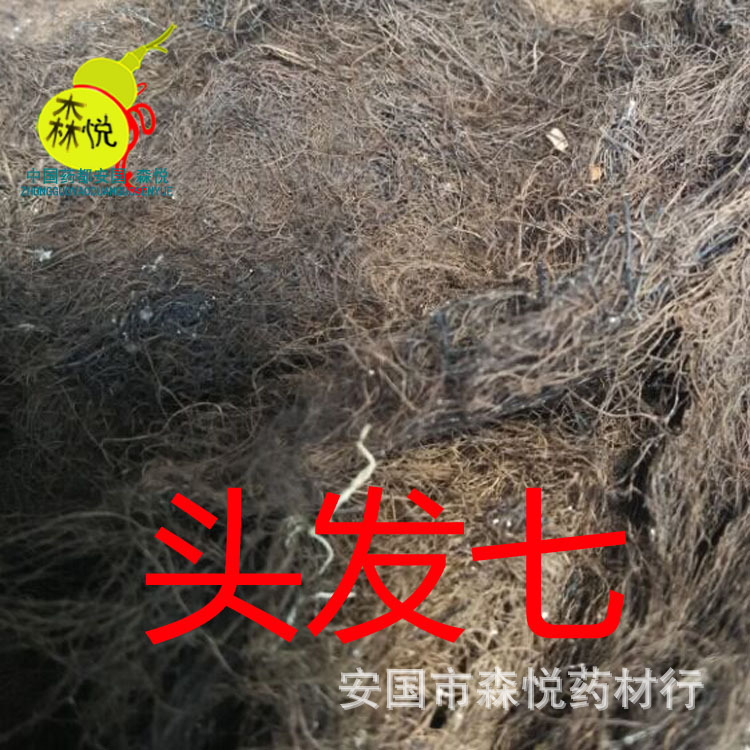 头发七 批发冷背中药材 人头七 黑丝带 黑丝草正品 专药用 保含量