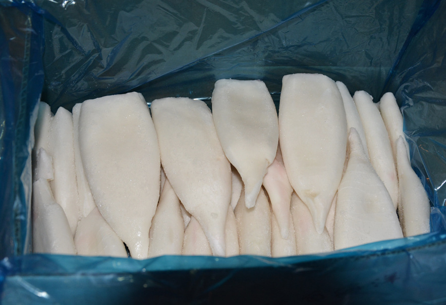 冰冻鱿鱼筒9斤 冷冻箱装鱿鱼筒墨鱼筒 冷冻海鲜鱿鱼筒鱿鱼片批发