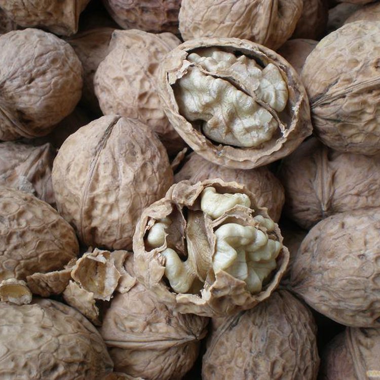 批发散装新疆云南薄壳核桃生核桃纸皮核桃50斤坚果炒货新货上市