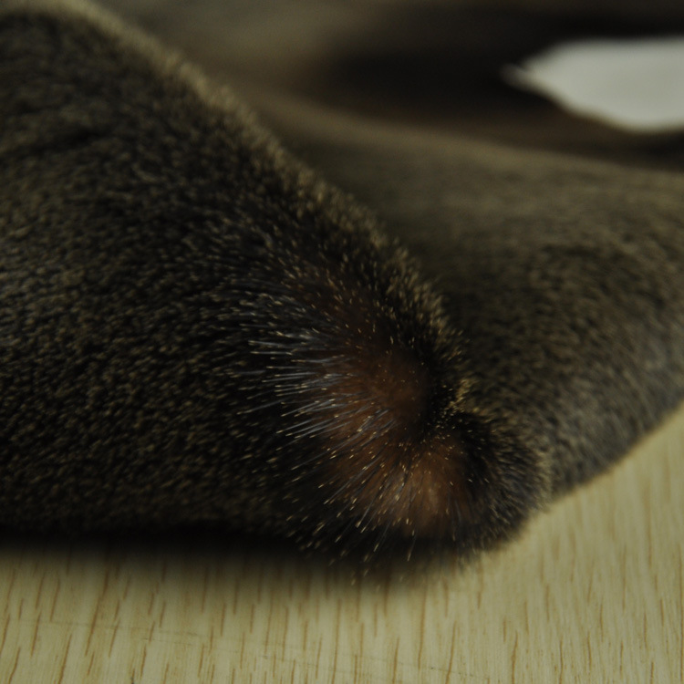 东莞厂家直销进口海狗皮 棕色海狗毛皮一体 高档优质海狗皮现货