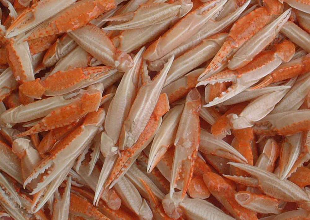 常年批发冷冻海捕野生扁蟹(拥剑梭子蟹),肥满多肉,壳薄美味