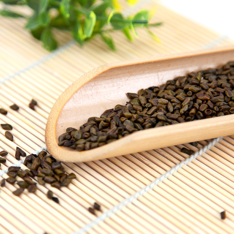 中药材决明子 批发决明子 儿童沙滩决明子沙 枕芯填充材料