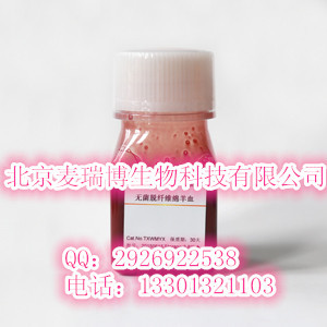 100ml 液体