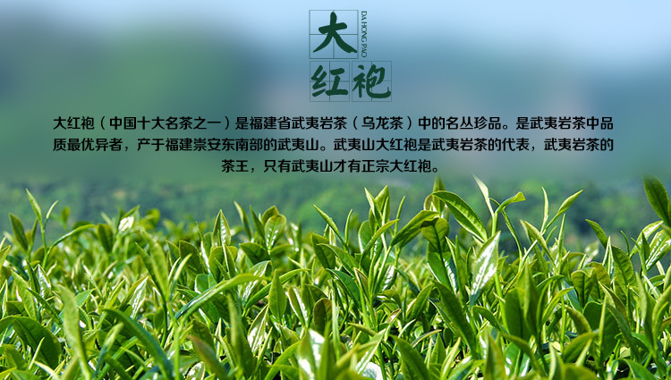正宗福建大红袍武夷山岩茶牛栏坑正岩肉桂散装茶叶霸气回甘500g