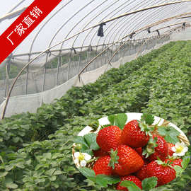 温棚造价_温棚造价价格_优质温棚造价批发\/采