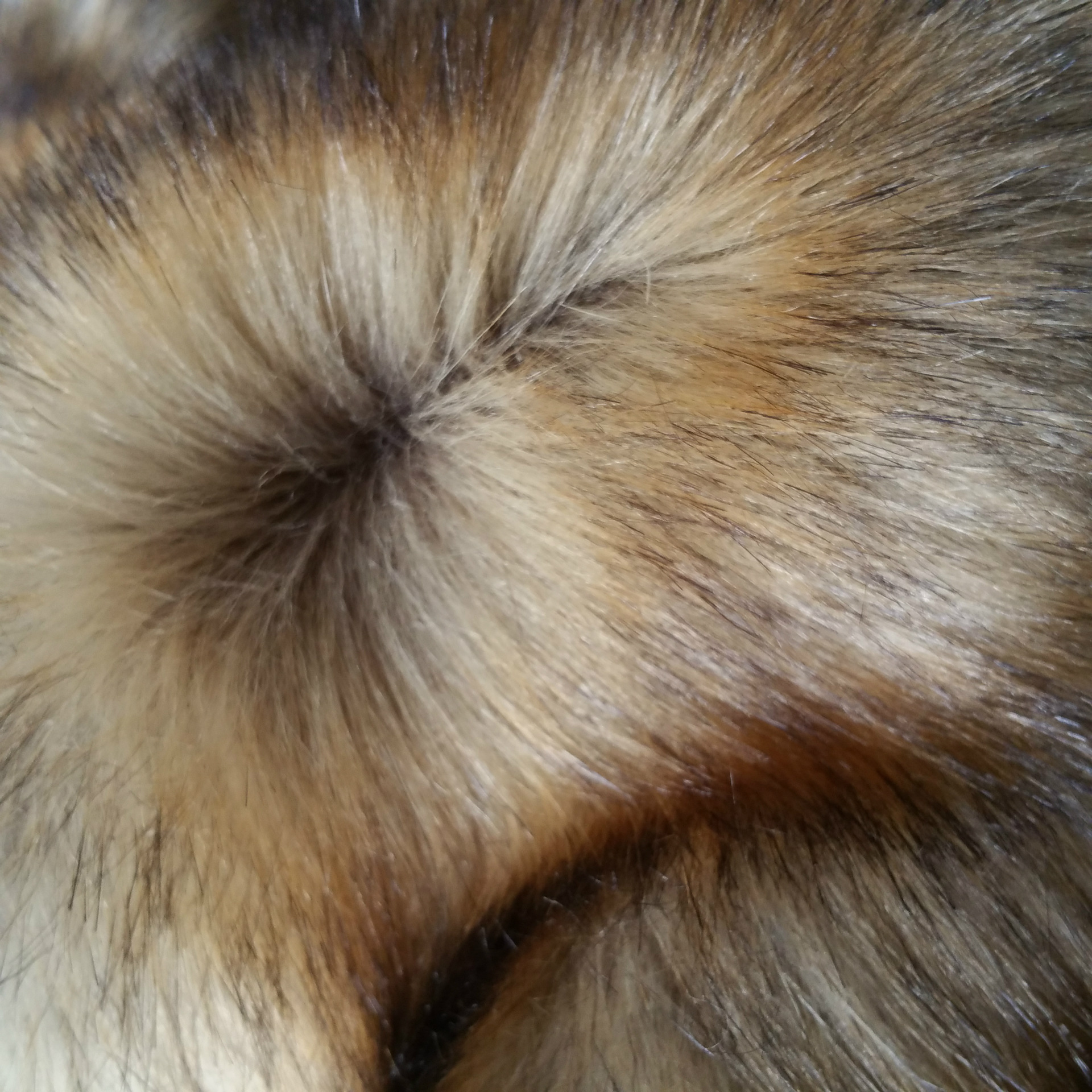 仿真毛 仿真动物毛 仿狗毛 棕色黑尖 人造毛皮 仿皮草 现货