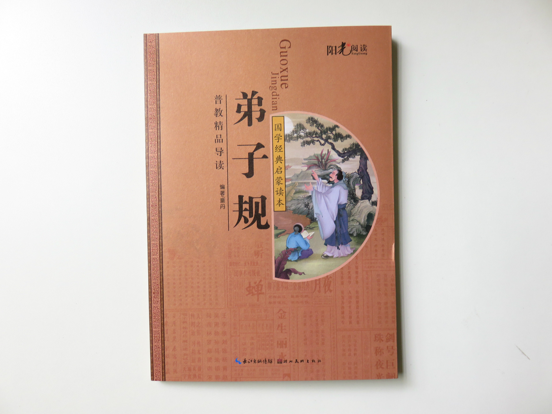 国学经典启蒙读本《弟子规》 正版名著 儿童图书 少儿书籍批发