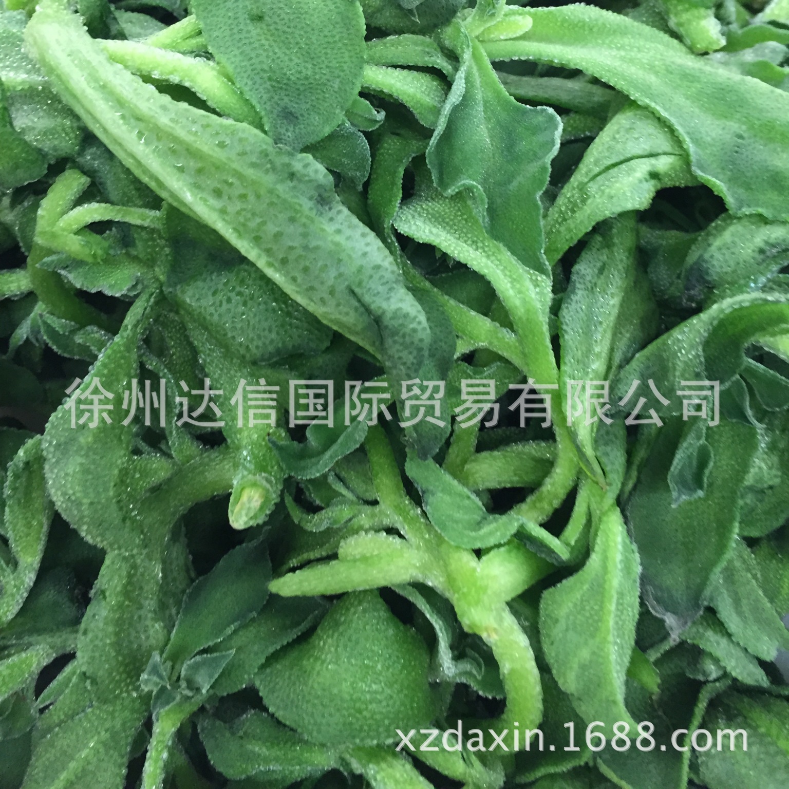 低下高贵的身价走上平民餐桌的高档特色蔬菜--杂交冰菜/冰草种子