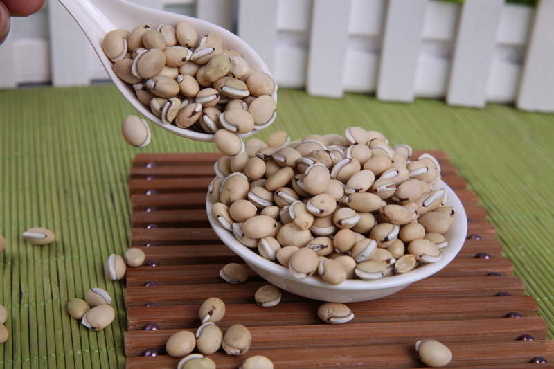 产地货源 云南特产白扁豆 精选药扁豆 滋补中药材 炖