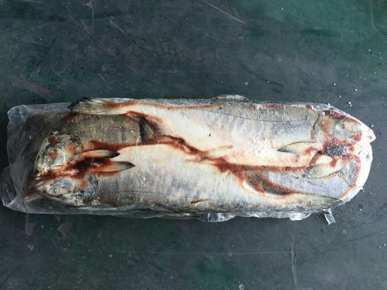 批发供应俄罗斯冷冻水产品带头去脏大马哈鱼 30吨 吉林珲春