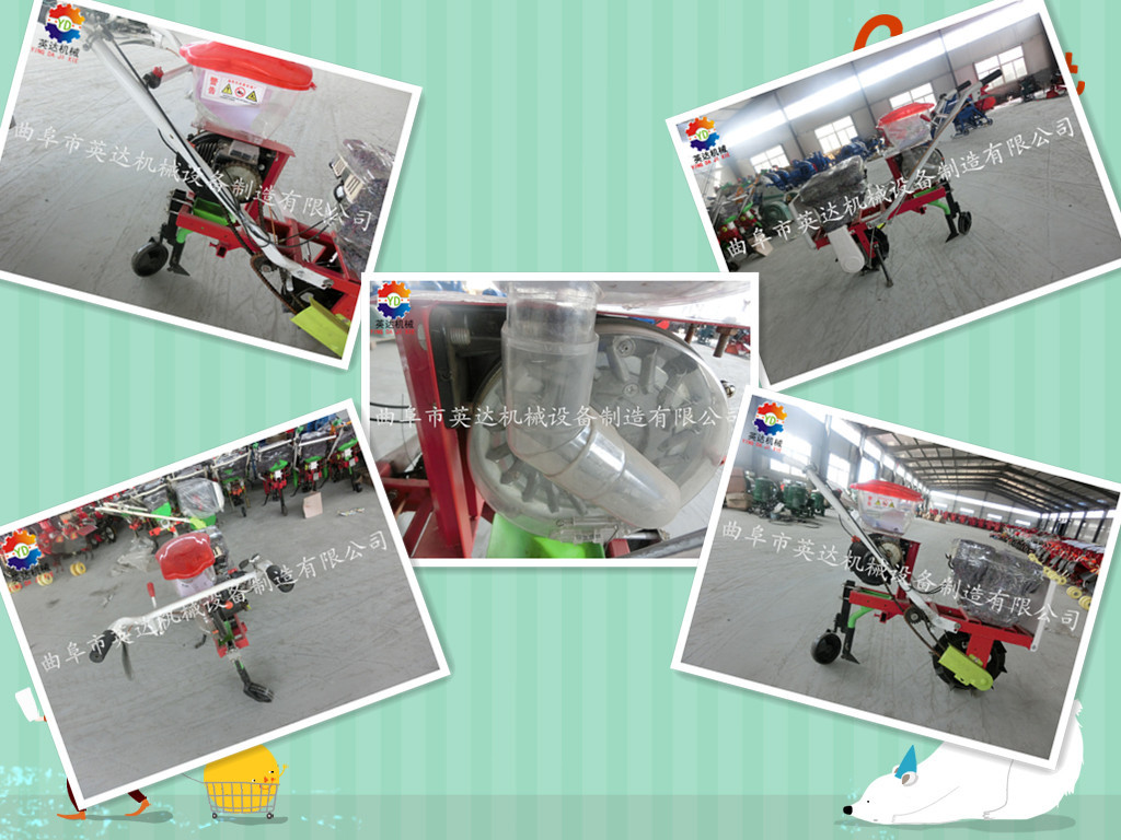 直销玉米 蔬菜精量播种机 小麦玉米多功能播种机应用技术