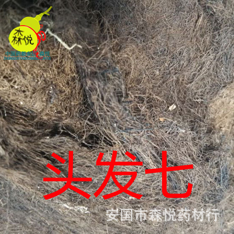 头发七 批发冷背中药材 人头七 黑丝带 黑丝草正品 专药用 保含量