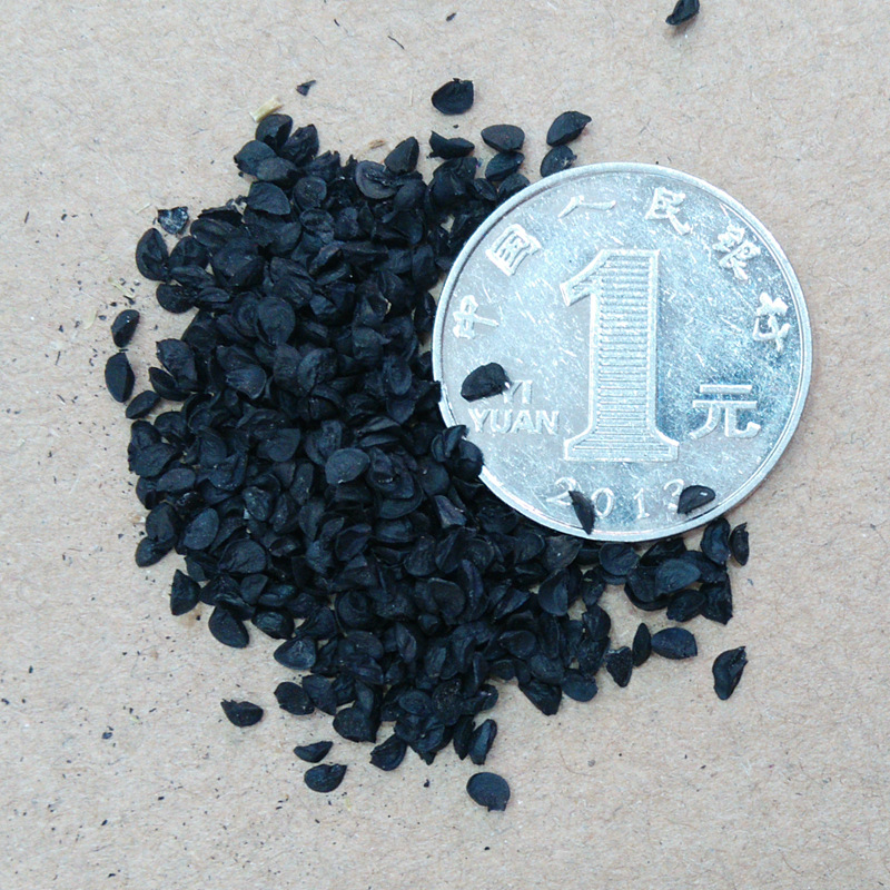 葱籽东北葱子散装500g包运费 九嘉中药材批发