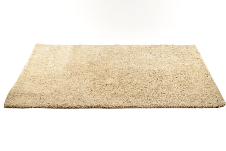 出口厂家直销日韩新品超柔加厚客厅卧室地毯地垫