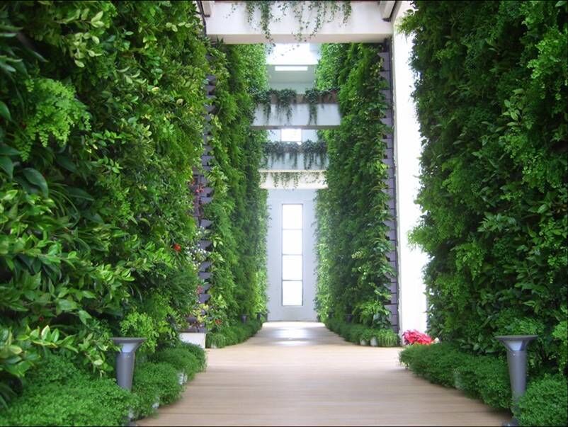 植物墙工程有什么优势呢?