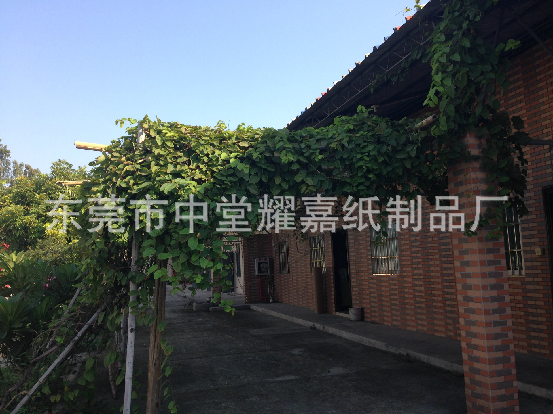 undefined