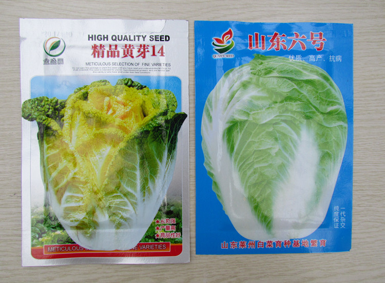 蔬菜种子 家庭种植种子 盆栽 青菜 瓜果 花卉 多