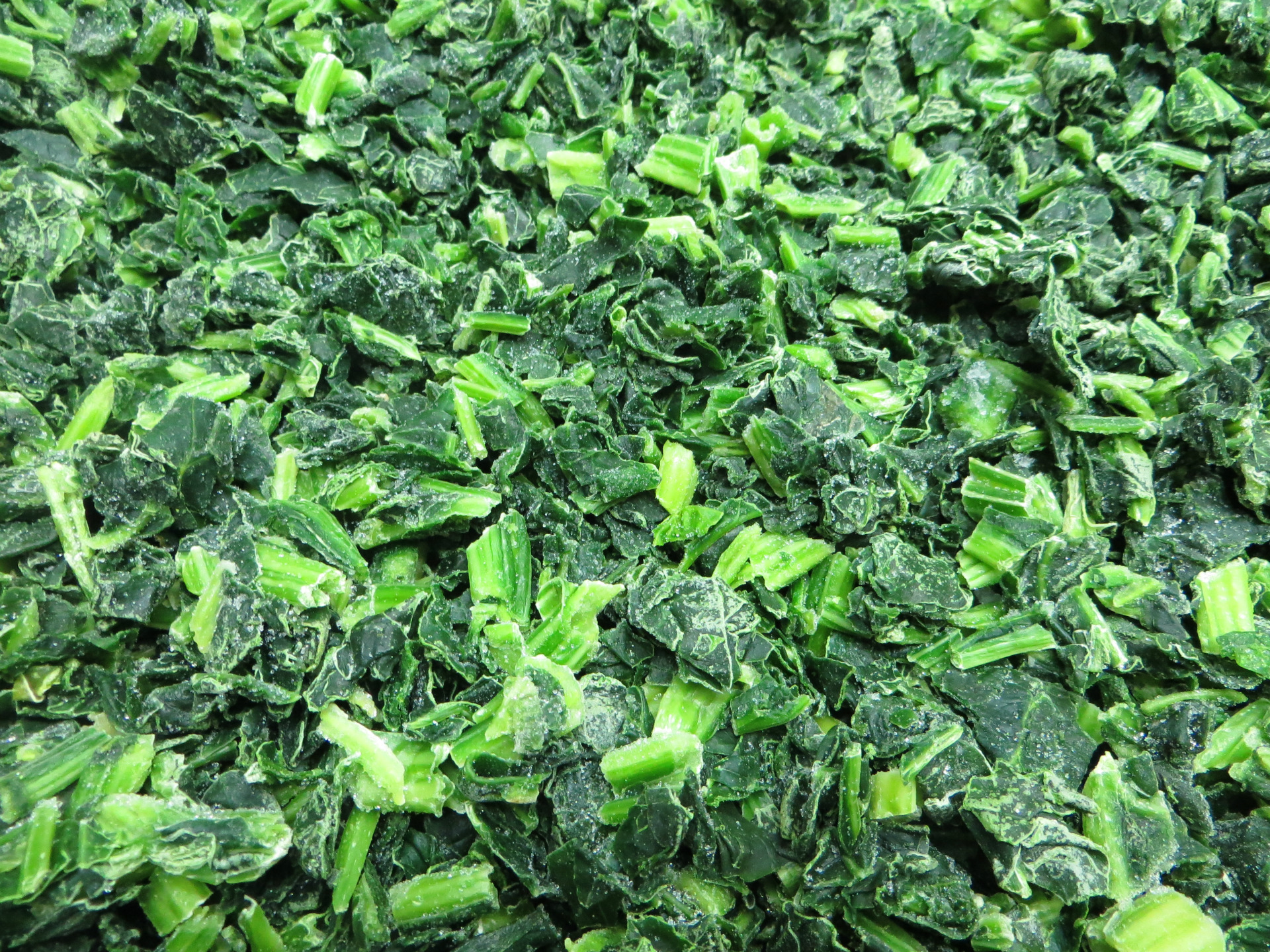 自属农场 速冻菠菜 绿色有机健康