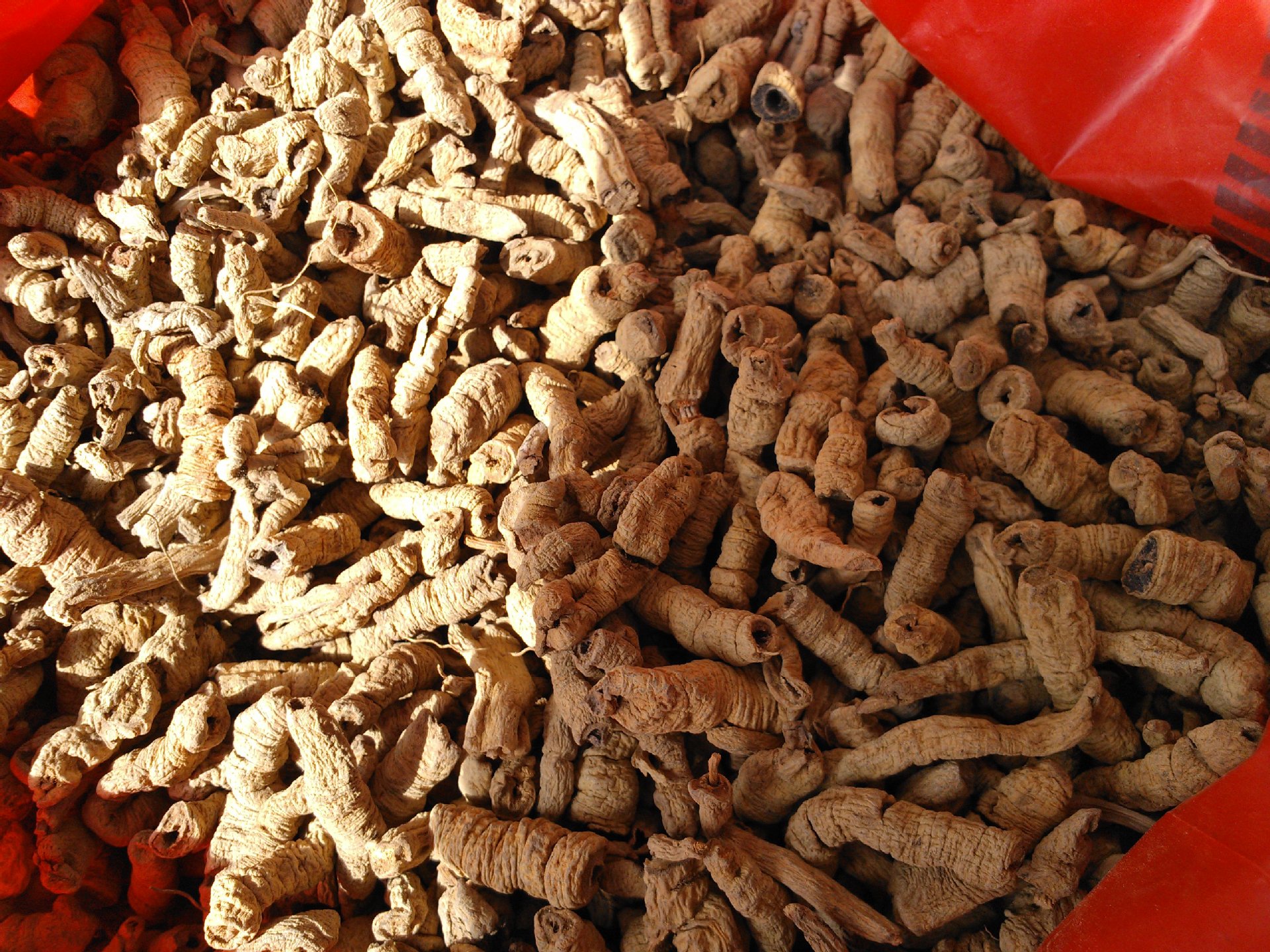 厂家直销中药材 精选新鲜天然野生巴戟天 各类冷背中药材批发