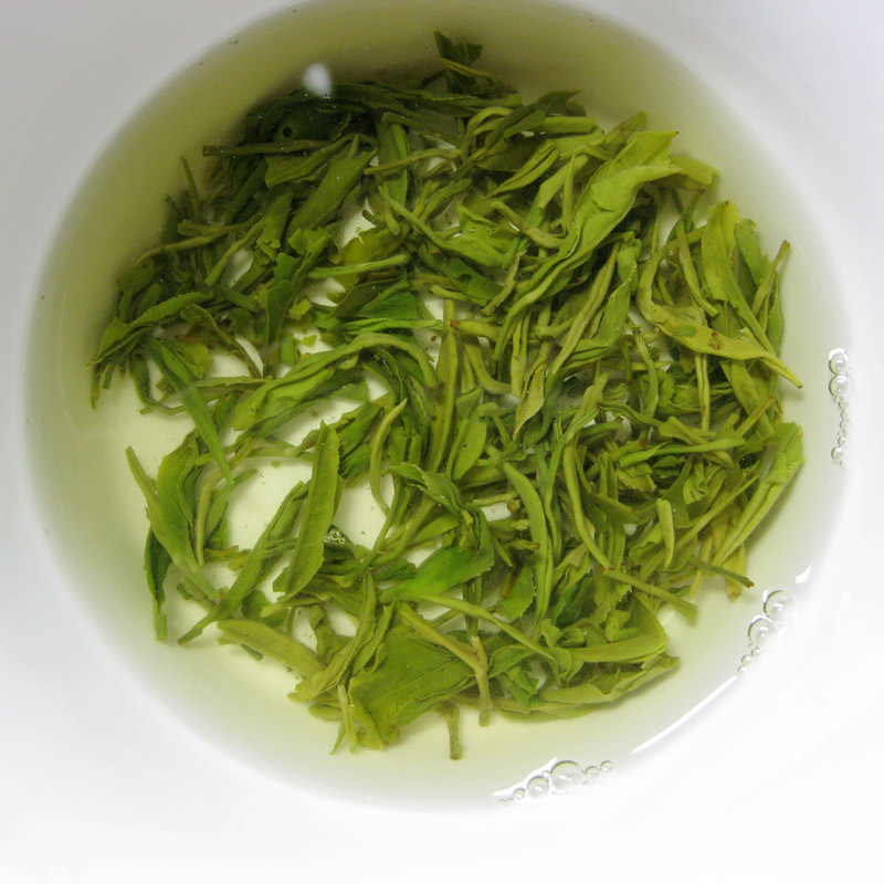 木灵芝和草灵芝有什么区别