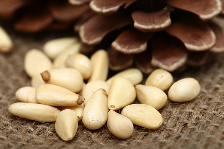 东北特产山货 松子仁 非油炸 坚果干果食品零食批发 厂.